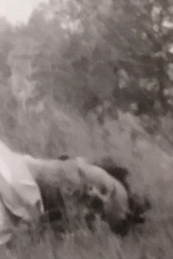 Anviti. Un Fatto Di Sangue