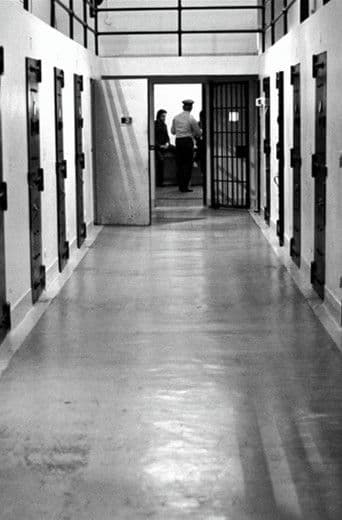 A Warehouse for Bodies