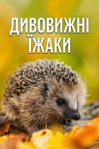 Anul ariciului