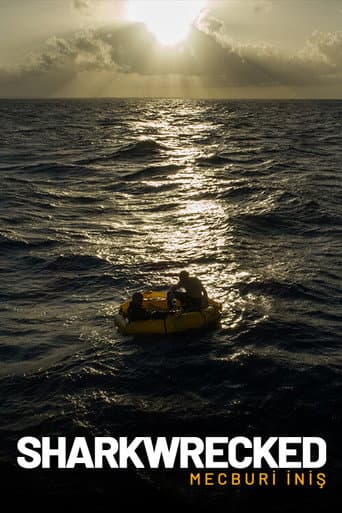 Sharkwrecked: Crash Landing