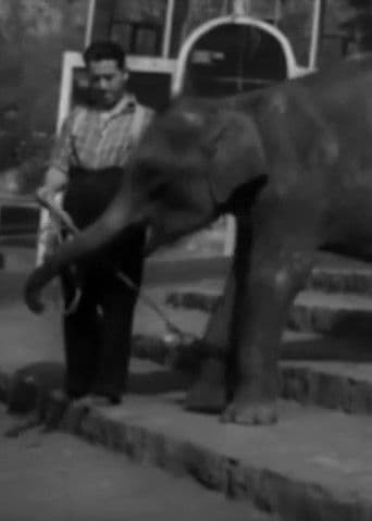 Jardín Zoológico Nacional