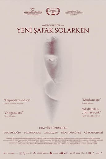 Yeni Şafak Solarken