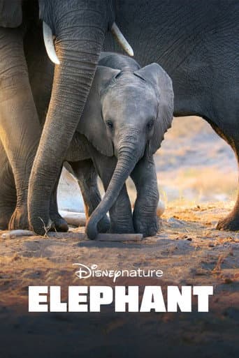 Elefantul