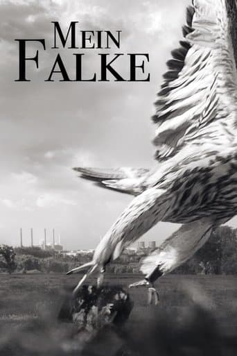 Mein Falke