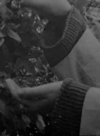 Die Erde überwältigt mich, or When the wing of the swallow opens