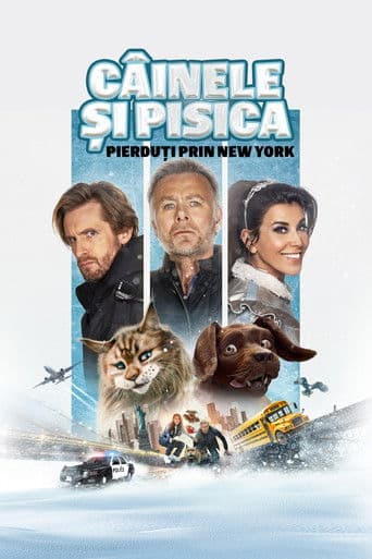 Câinele și pisica: Pierduți prin New York