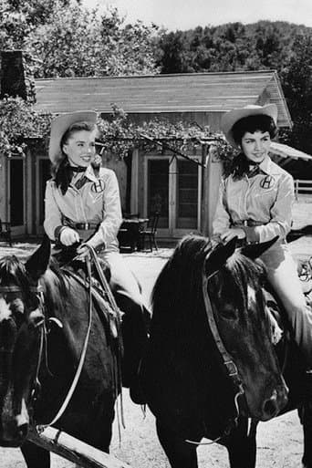 The New Adventures of Spin and Marty