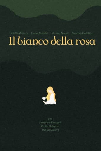 il bianco della rosa