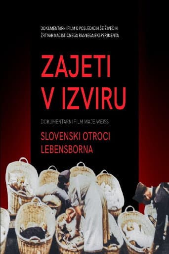 Zajeti v izviru - Slovenski otroci Lebensborna