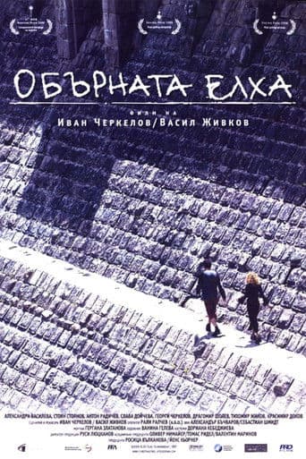 Pomul de Crăciun de-a-ndoaselea