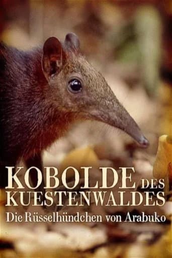 Spiridușii pădurii tropicale: Misteriosul chițcan-elefant din Arabuko