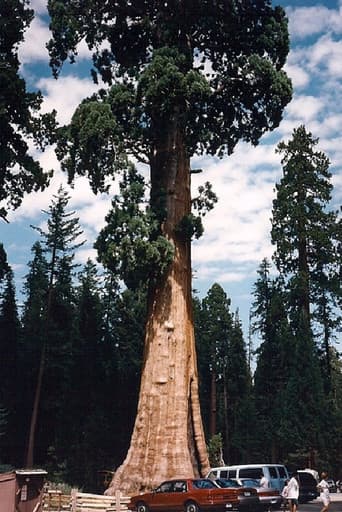 Sequoia & Kings Canyon National Parks