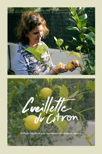 Cueillette du citron