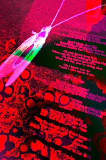 Observações do Dr. Cânhamo