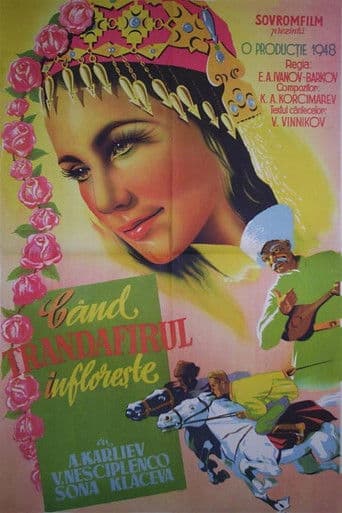 Când trandafirul înflorește