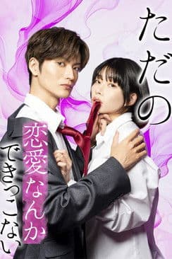 ただの恋愛なんかできっこない