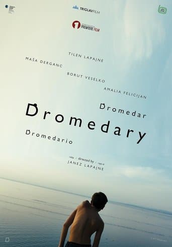 Dromedar