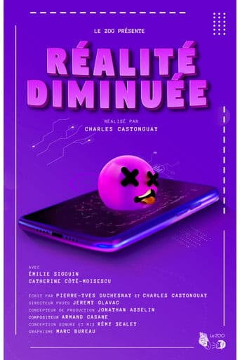 Réalité Diminuée