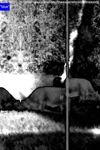 A Formal Explanation of the Experience of Witnessing "blue"