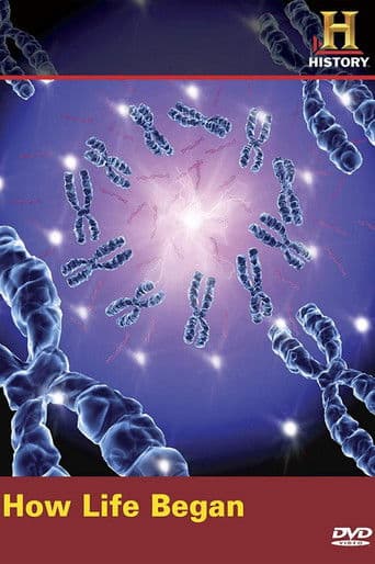 Cum a început viața