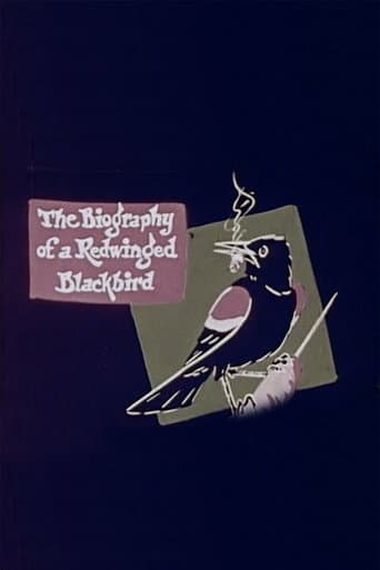 The Biography of a Redwinged Blackbird