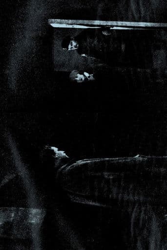 Закони шторму