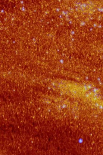 라 플랑트 당상트 드 데자스트르