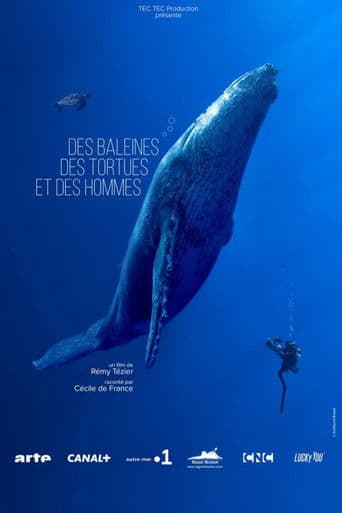 Des baleines, des tortues et des hommes
