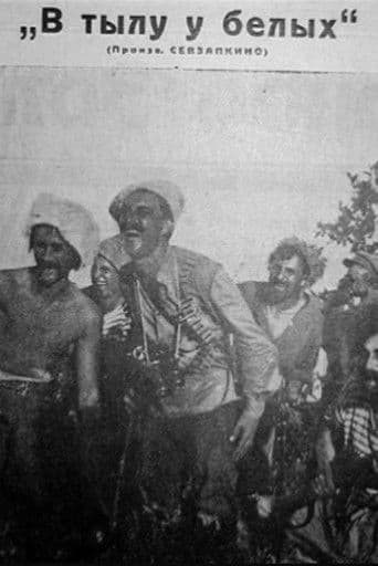 В тылу у белых