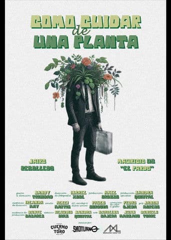 Cómo cuidar de una planta