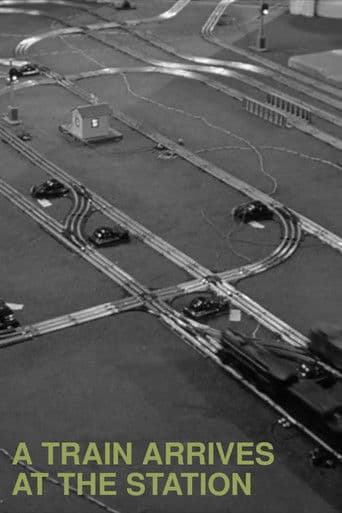 A Train Arrives at the Station