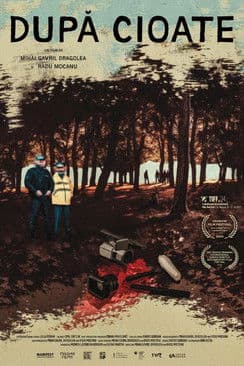 După cioate