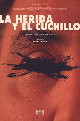 La herida y el cuchillo (Notas para un film sobre García Wehbi)