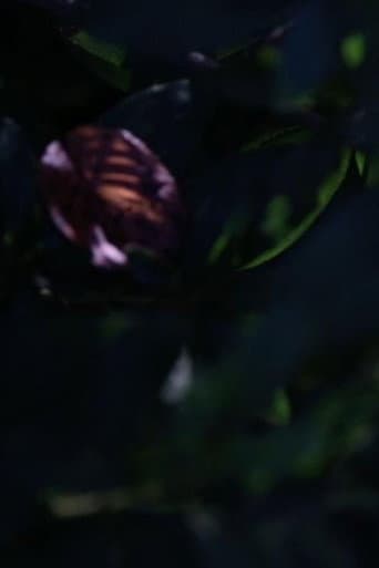 표면 기억 망각