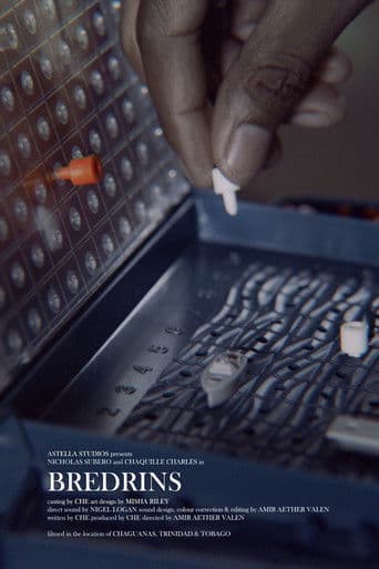 Bredrins