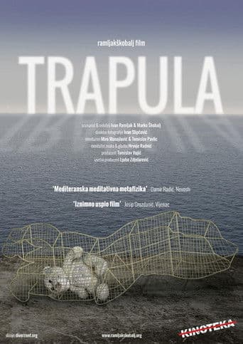 Trapula