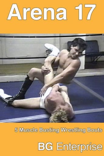 Arena 17