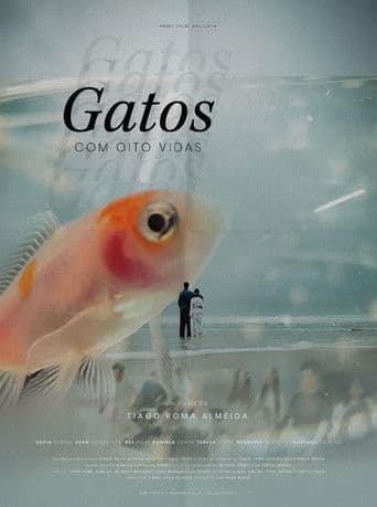 Gatos Com Oito Vidas