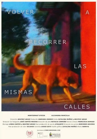 Volver a recorrer las mismas calles