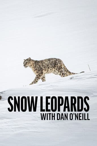 Snow Leopards with Dan O'Neill