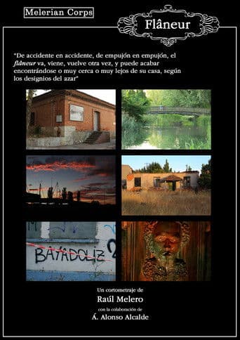 Flâneur (El paseador)