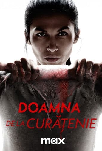 Doamna de la curățenie