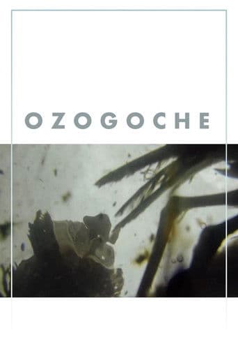 Ozogoche