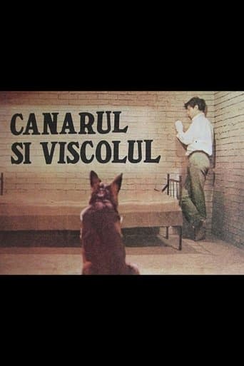 Canarul și viscolul