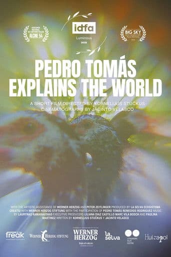 Pedro Tomás Explica El Mundo