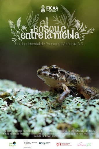 El bosque entre la niebla