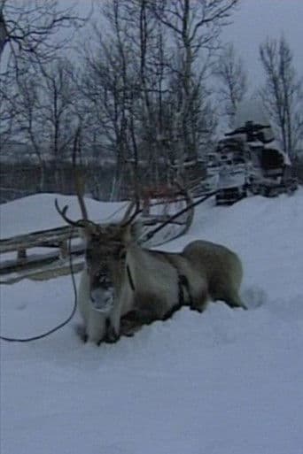 Niestebohcco njuovvan