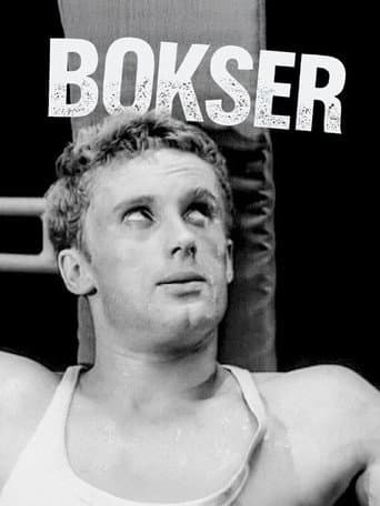 Bokser