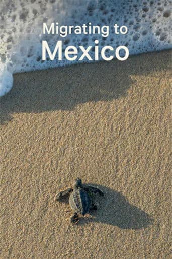 Migrating to Mexico