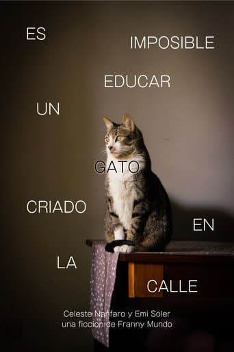 Es Imposible Educar Un Gato Criado en la Calle
